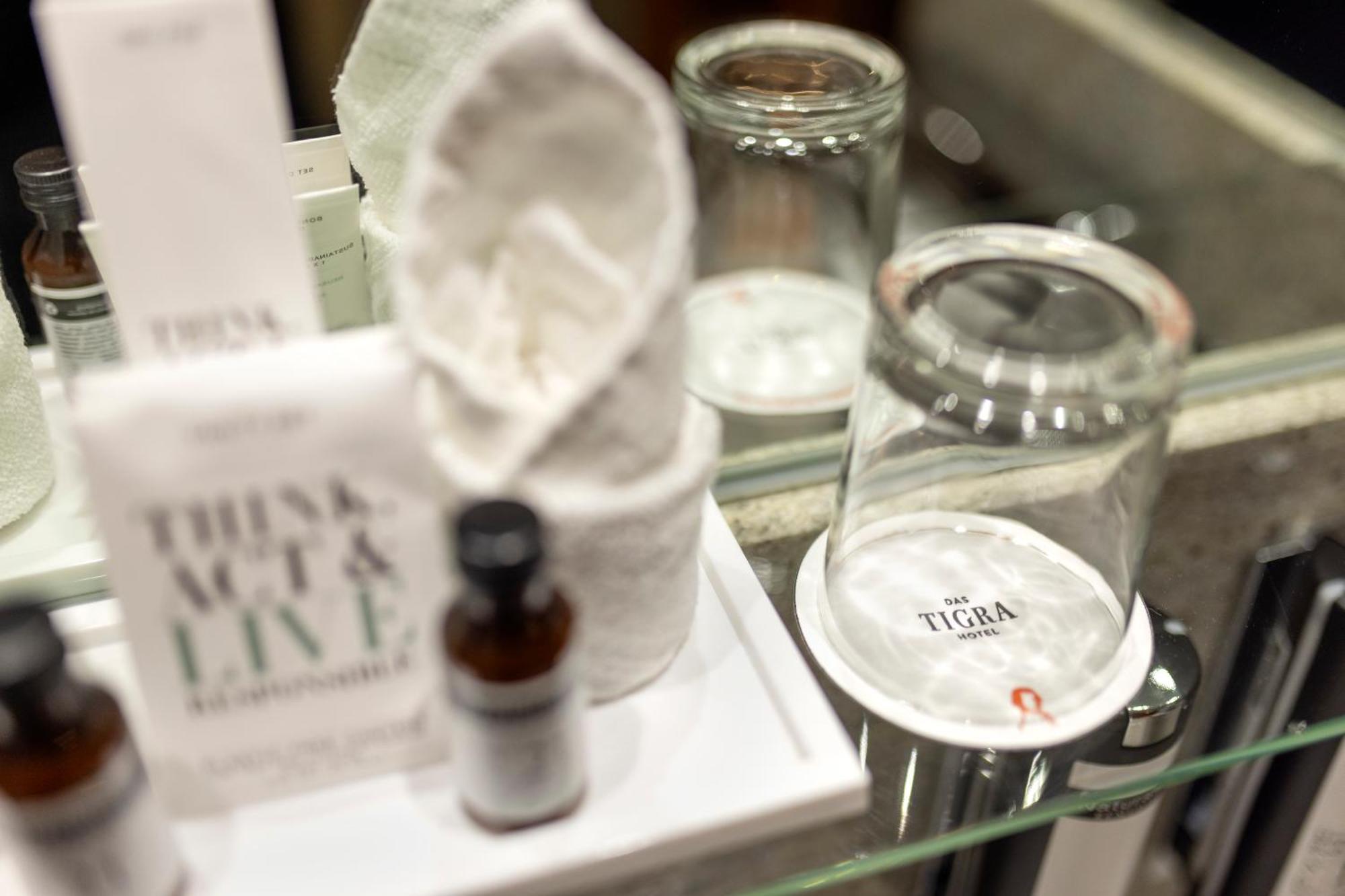 Hotel Boutique Tigra Viena